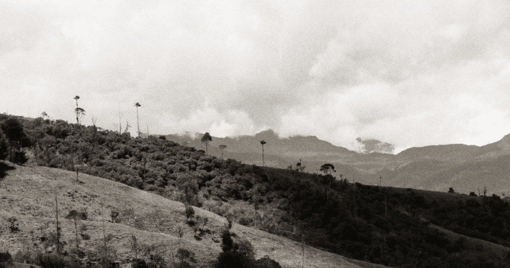 «Habitar»: Propuesta fotográfica de Ana María Mavisoy